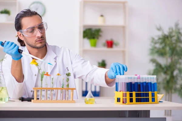 Jovem químico do sexo masculino que trabalha no laboratório — Fotografia de Stock