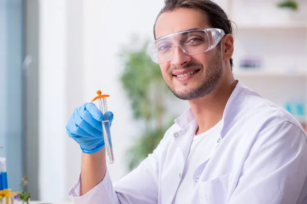 Jonge mannelijke chemicus werkzaam in het lab — Stockfoto