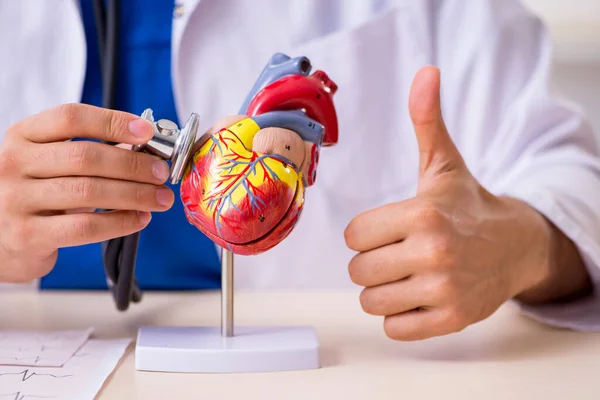 Joven médico cardiólogo que trabaja en la clínica — Foto de Stock