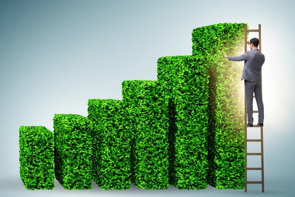 Бизнесмен в зеленой экологии концепции роста — стоковое фото