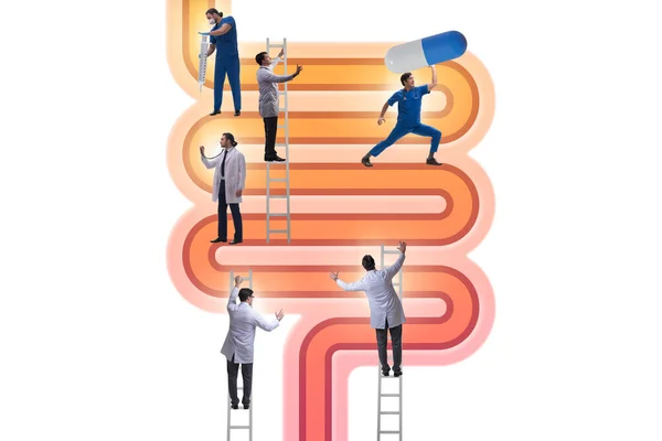 Doctors treating intestines illness - medical illustration