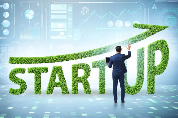 Concept of green start-up and venture capital — Stock Photo, Image