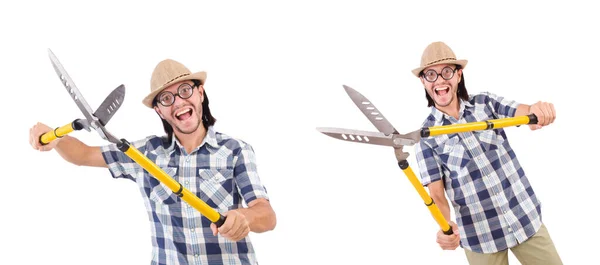 Divertente ragazzo con cesoie da giardino su bianco — Foto Stock