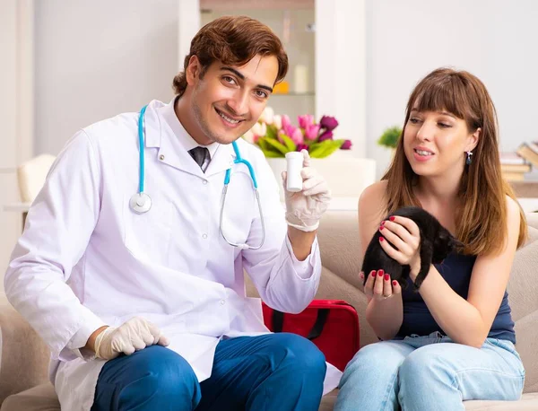 Vet doctor visiting sick kittens at home — Stock Photo, Image