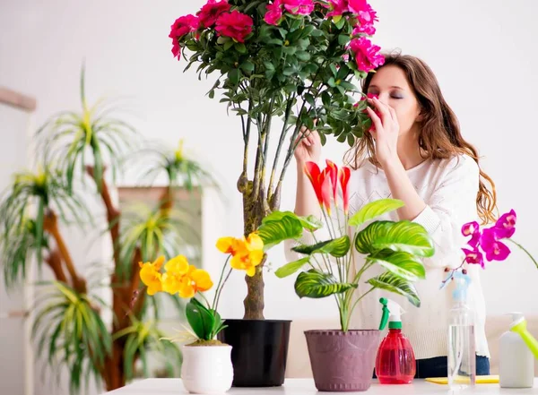 Giovane donna che si occupa di piante a casa — Foto Stock