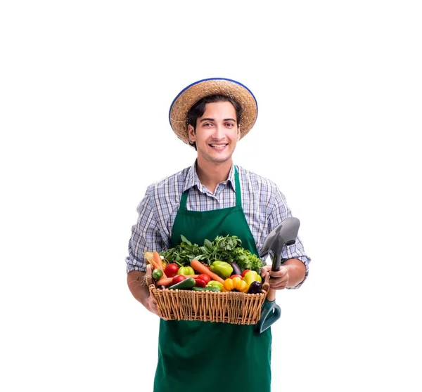 Jeune agriculteur avec des produits frais isolés sur fond blanc — Photo