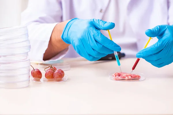 Genç erkek beslenme uzmanı gıda ürünlerini laboratuarda test ediyor. — Stok fotoğraf