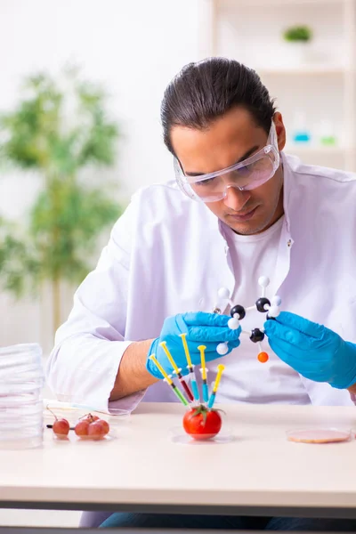 Joven experto en nutrición masculina probando productos alimenticios en laboratorio — Foto de Stock