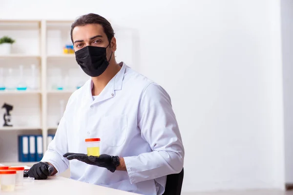 Junger Chemiker arbeitet im Labor — Stockfoto