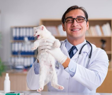 Beyaz yavru kedi kadar onay için veteriner ziyaret