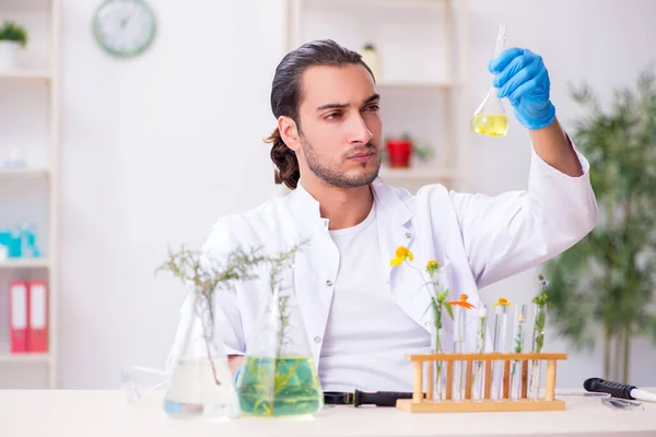 Mladý chemik pracující v laboratoři — Stock fotografie