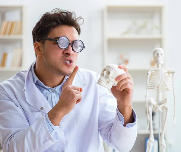 Τρελός γιατρός που μελετά ανθρώπινο σκελετό — Φωτογραφία Αρχείου