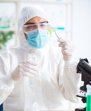 Bitkiler üzerinde çalışan erkek biyokimyacı.