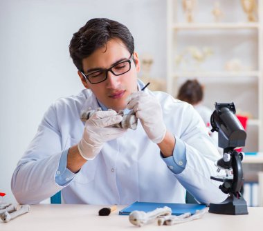 Profesör laboratuvarda insan iskeletini inceliyor.