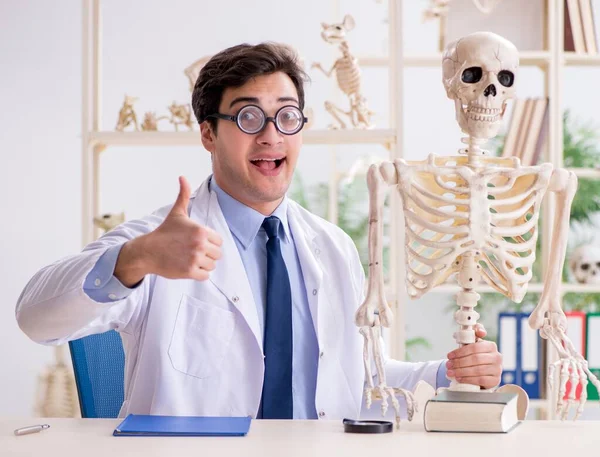 Gek professor bestudeert menselijk skelet — Stockfoto