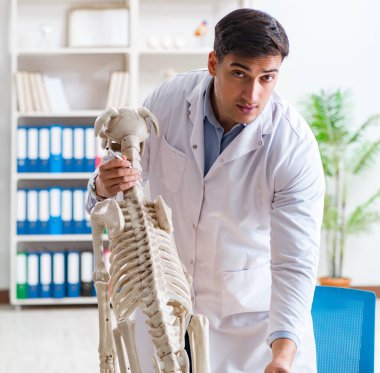 Doktor veteriner köpek iskeleti üzerinde çalışıyor.