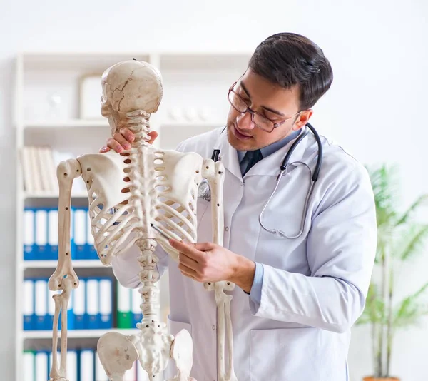 İskeleti beyaz olan Yong erkek doktoru.