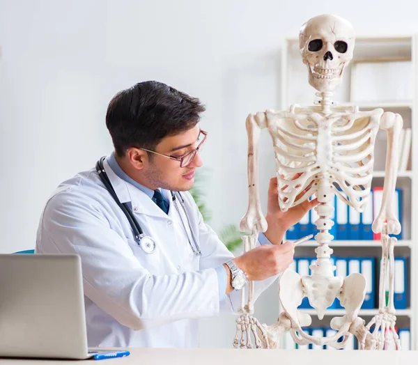 Yong médico masculino con esqueleto aislado en blanco — Foto de Stock