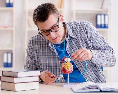 Tıp öğrencisi ders sırasında sınıfta kalp eğitimi alıyor.