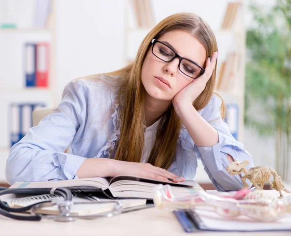 Studerande undersöker djurskelett i klassrummet — Stockfoto