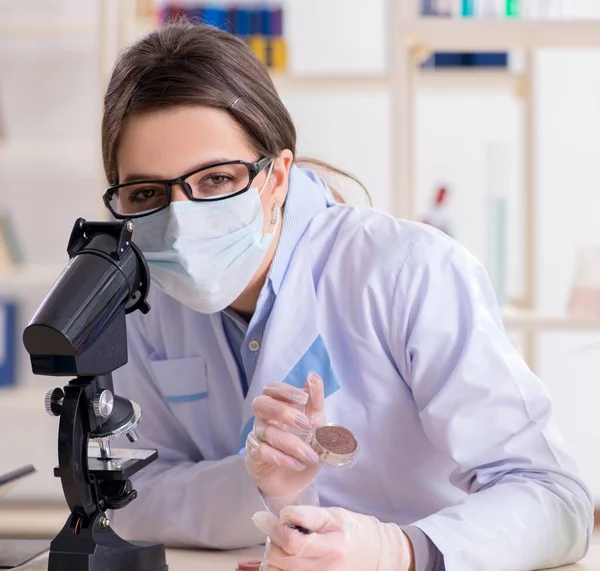 Lab chemist checking beauty and make-up products