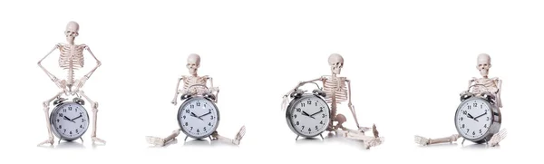 Skeleton with alarm clock on the white — Stock Photo, Image