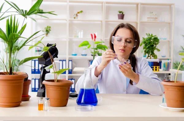 Joven química biotecnológica hermosa trabajando en el laboratorio —  Fotos de Stock