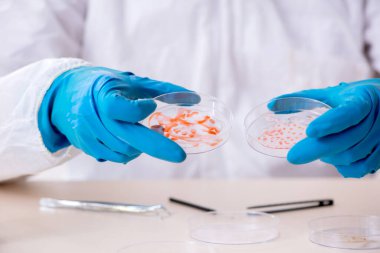 Laboratuvarda çalışan genç bir kimyager.