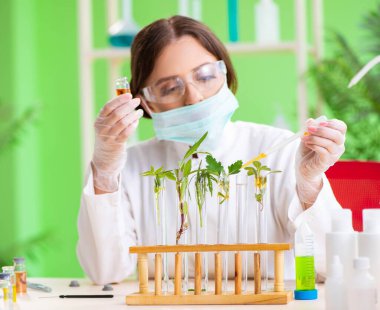 Güzel kadın biyoteknoloji bilim adamı kimyager laboratuarda çalışıyor.