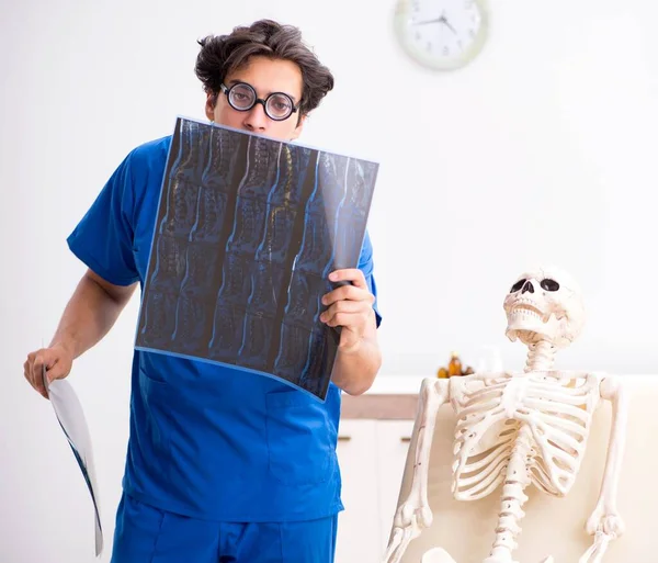 Médico divertido con esqueleto en el hospital —  Fotos de Stock