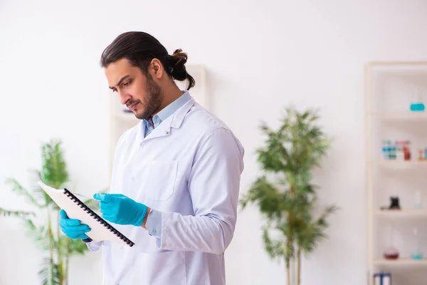 Junger Chemiker arbeitet im Labor — Stockfoto