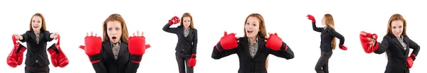 Mujer mujer de negocios con guantes de boxeo en blanco — Foto de Stock