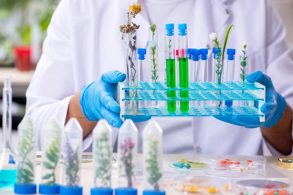 Joven químico masculino trabajando en el laboratorio — Foto de Stock