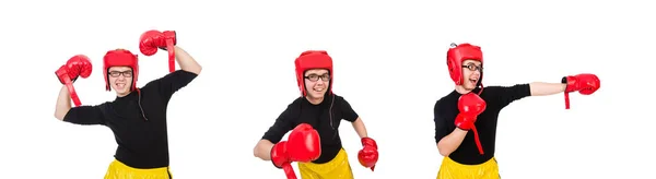 Boxer drôle isolé sur le fond blanc — Photo