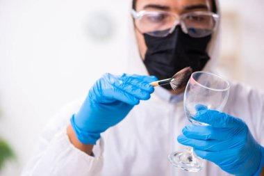 Erkek kriminolog kanıt için laboratuarda çalışıyor.