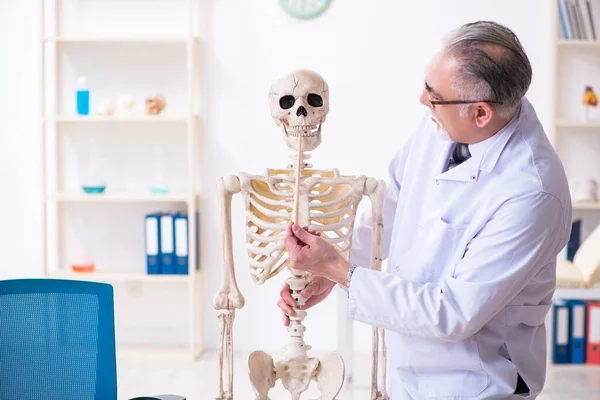 Ηλικιωμένος άνδρας γιατρός με σκελετό — Φωτογραφία Αρχείου