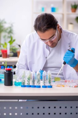 Laboratuvarda çalışan genç bir kimyager.