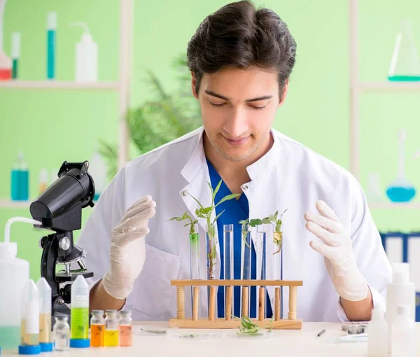 Ung bioteknisk forskare kemist som arbetar i labb — Stockfoto