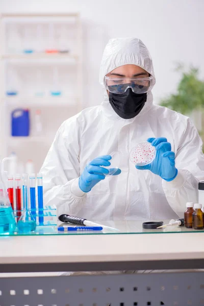 Ung, mannlig kjemiker som arbeider i medisinlaben – stockfoto