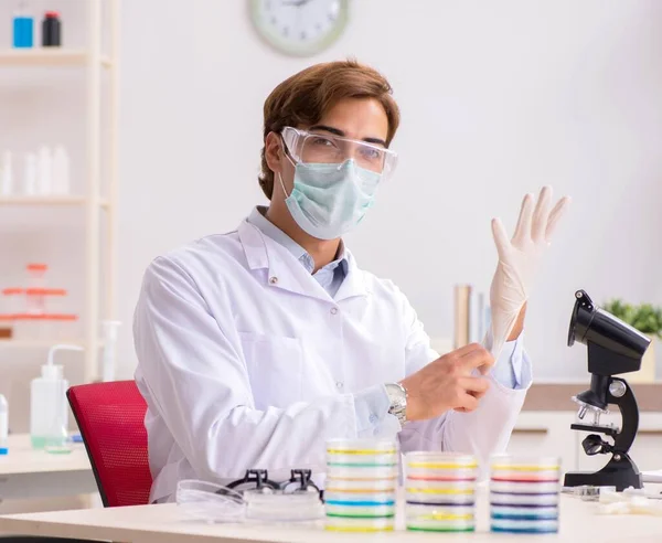 Jonge chemicus werkt in het lab — Stockfoto