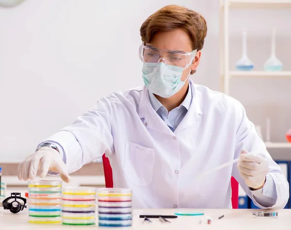 Giovane chimico che lavora in laboratorio — Foto Stock