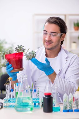 Laboratuvarda çalışan genç bir kimyager.