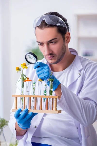 Jeune chimiste masculin travaillant dans le laboratoire — Photo