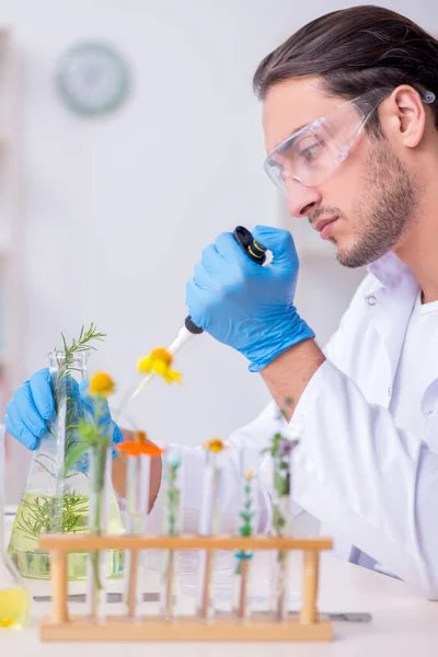 Jonge mannelijke chemicus werkzaam in het lab — Stockfoto