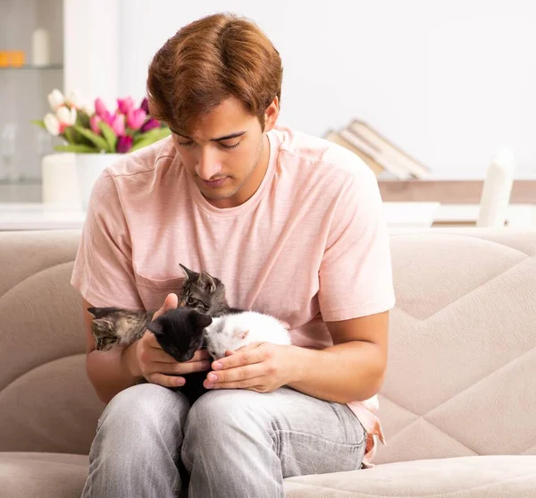 Genç adam evde kedi yavrusuyla oynuyor. — Stok fotoğraf