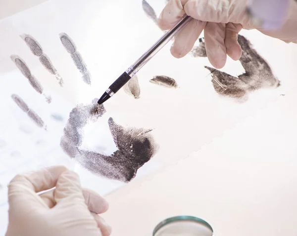 Perito forense estuda impressões digitais no laboratório — Fotografia de Stock