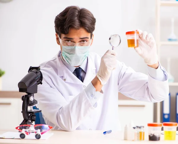 Joven químico guapo trabajando en el laboratorio —  Fotos de Stock