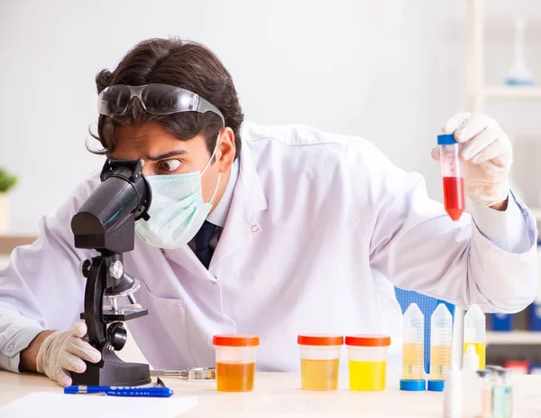 Giovane bel chimico che lavora in laboratorio — Foto Stock