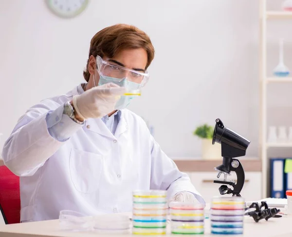 Joven químico trabajando en el laboratorio —  Fotos de Stock