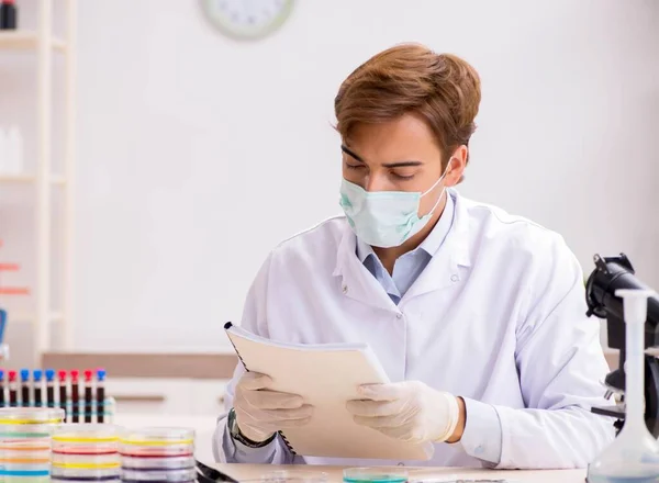 Jovem químico trabalhando no laboratório — Fotografia de Stock